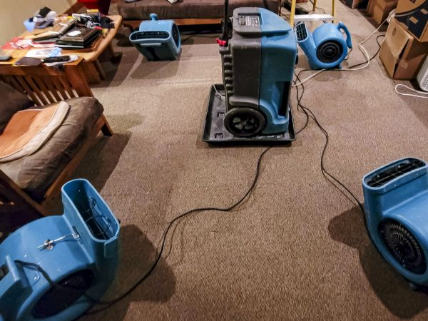 Cost of Flood Damage Recovery in Duluth