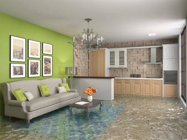 Cost of Wet Carpet Drying in Duluth