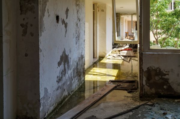 Cost of Water Removal Service in Duluth