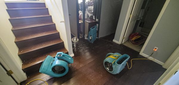 Cost of Water Damage Remediation in Duluth